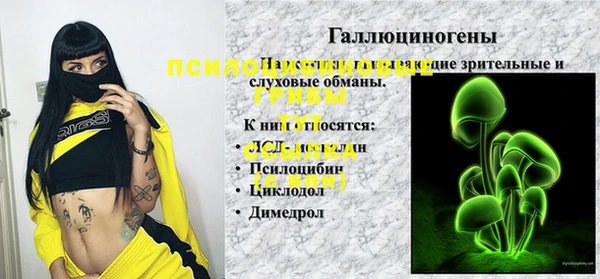 ECSTASY Белоозёрский
