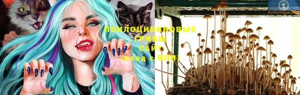 крисы Белокуриха