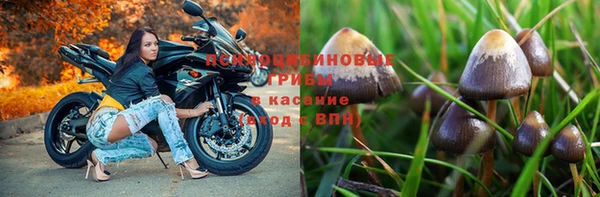 MDMA Беломорск